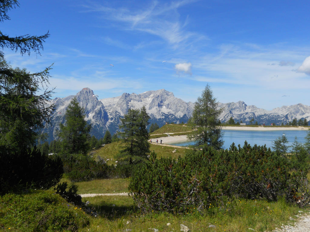 Pension Pichler Хинтерстодер Экстерьер фото