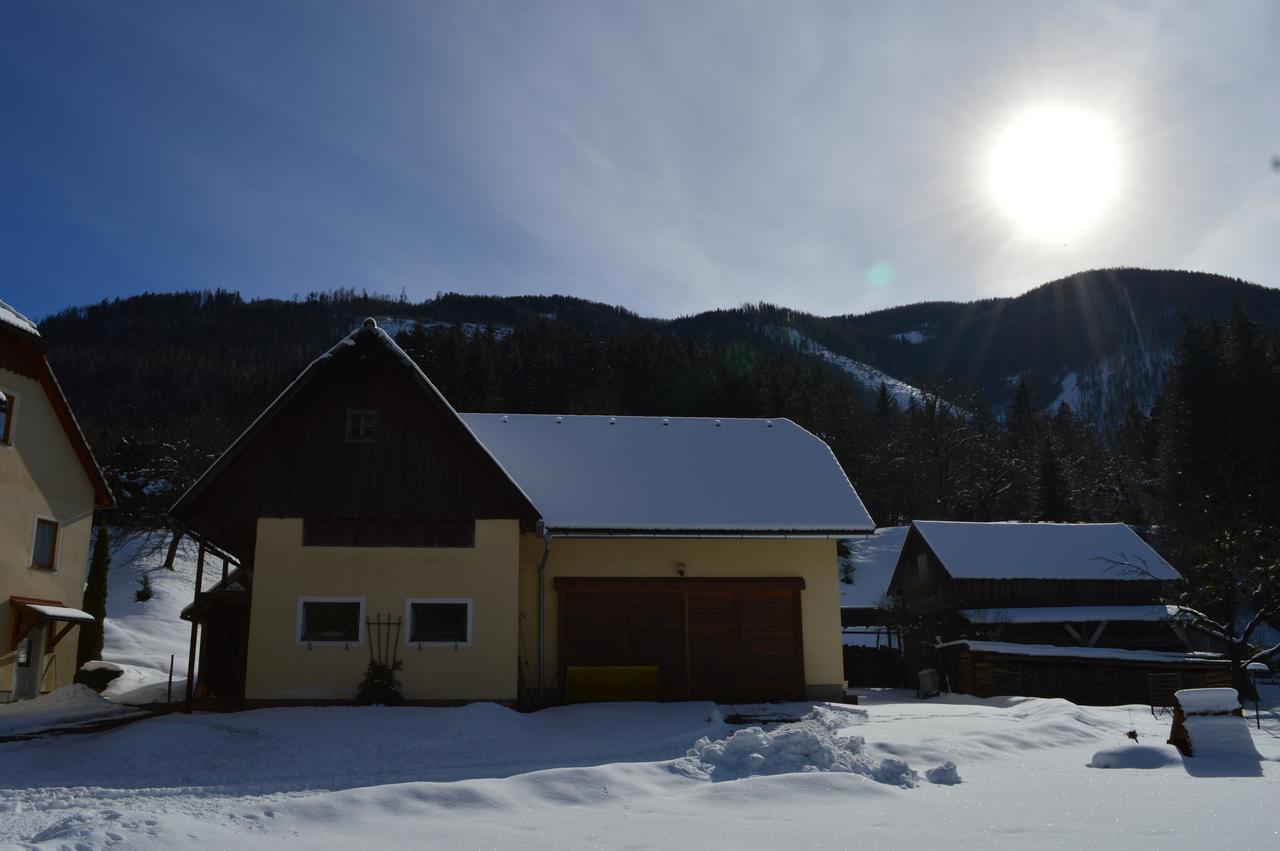 Pension Pichler Хинтерстодер Экстерьер фото